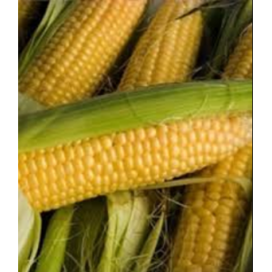 ДН Пивиха - кукурудза, 80 000 насінь, Евраліс фото, цiна